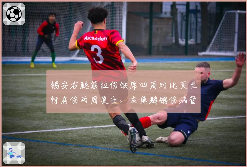 锡安右腿筋拉伤缺席四周对比莫兰特肩伤两周复出，灰熊鹈鹕伤病管理策略走向两极