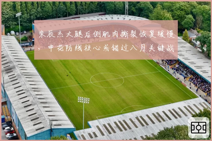 朱辰杰大腿后侧肌肉撕裂恢复缓慢，申花防线核心或错过八月关键战
