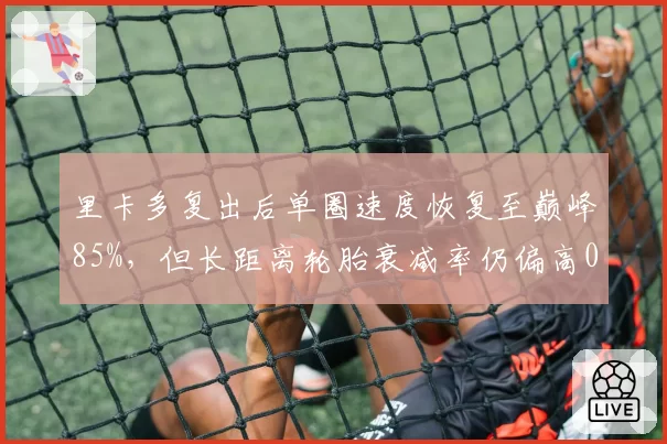 里卡多复出后单圈速度恢复至巅峰85%，但长距离轮胎衰减率仍偏高0.2秒_圈