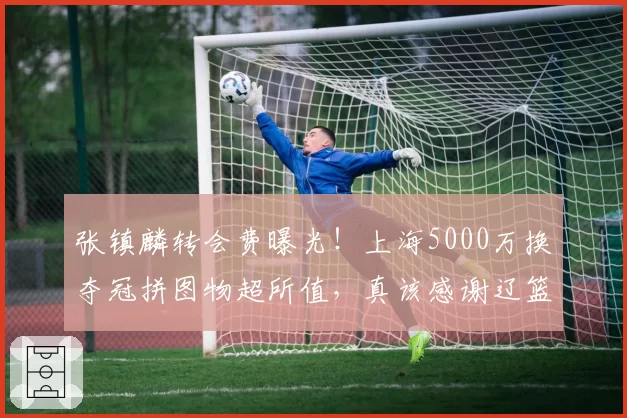 张镇麟转会费曝光！上海5000万换夺冠拼图物超所值，真该感谢辽篮